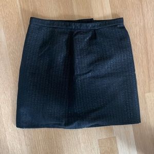 APC skirt